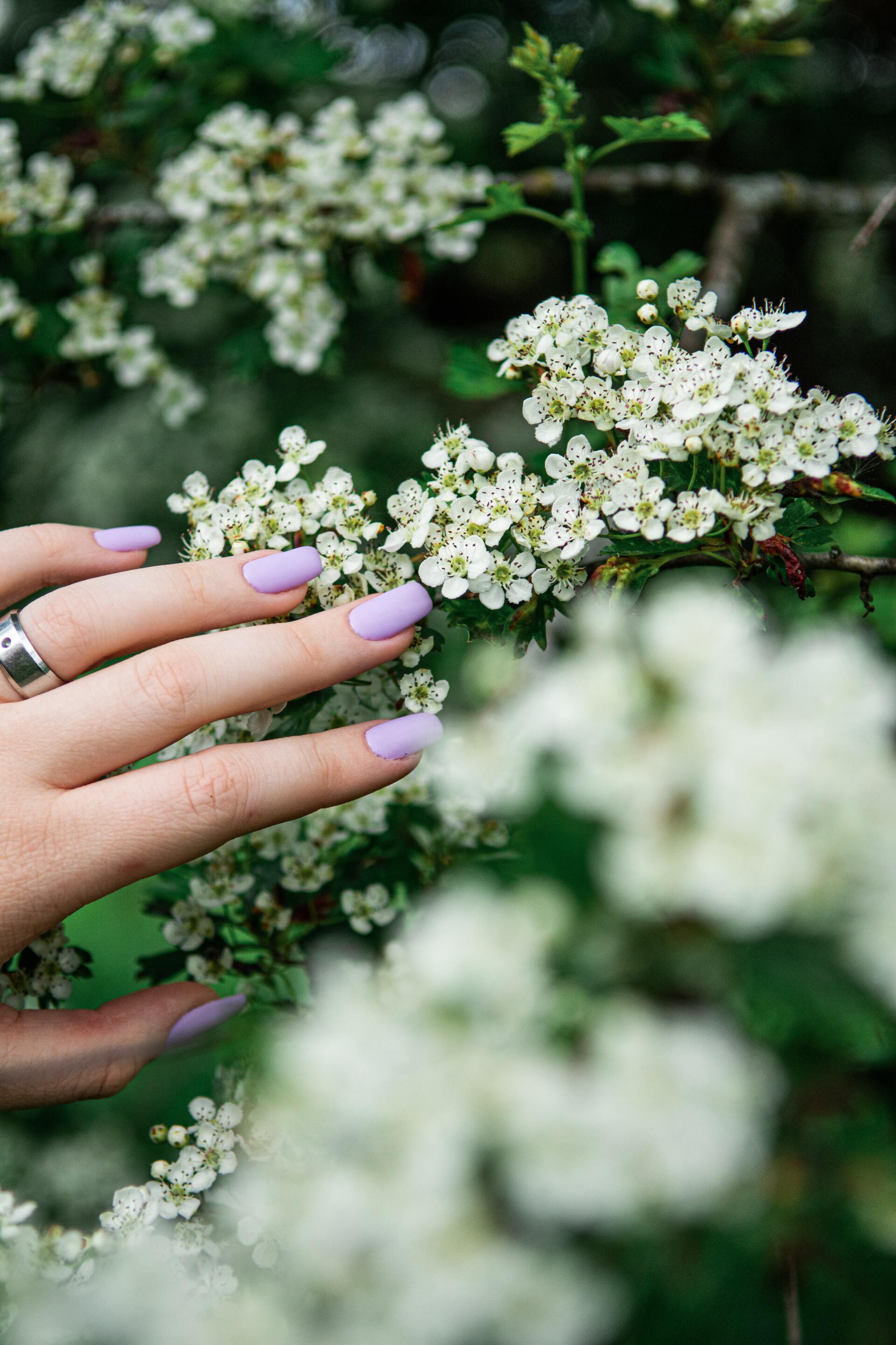 French manicure