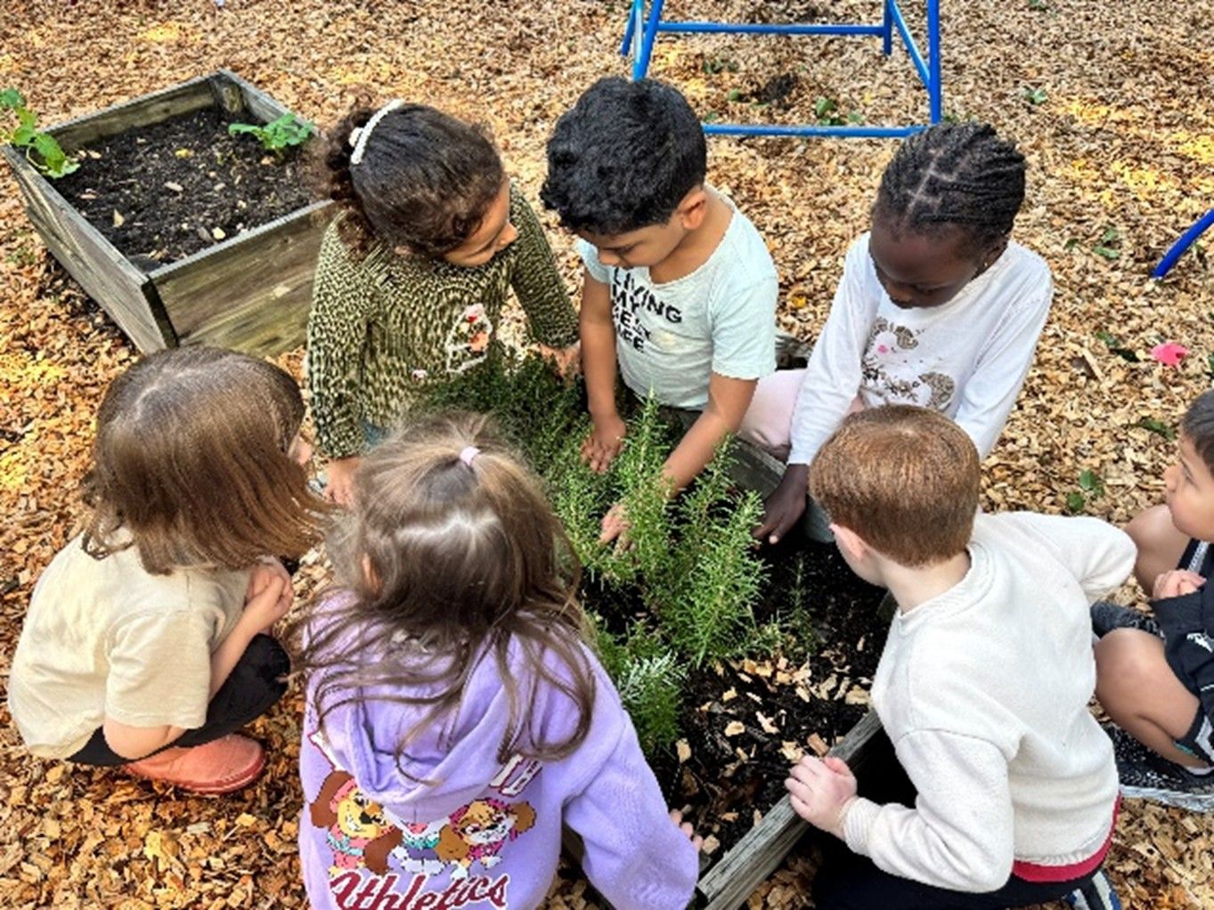 Children sitting in a circle around a small garden patch, examining plants together outdoors.
