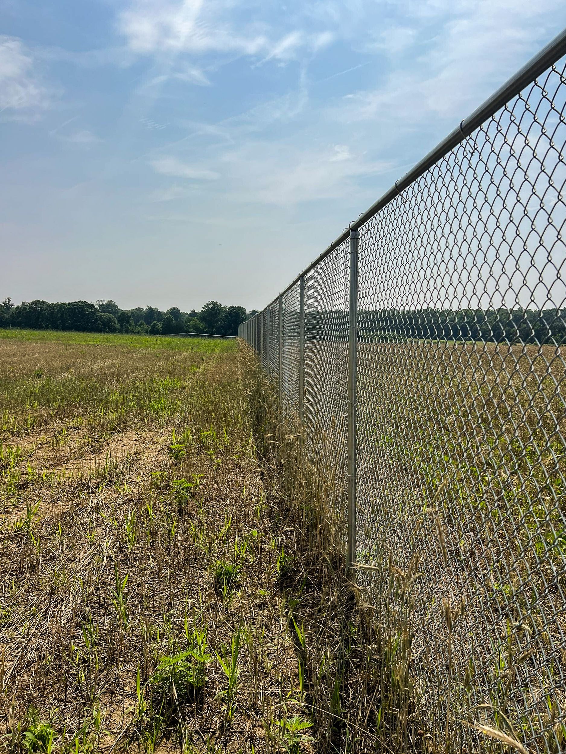 Chain-link fence running through a field of dry and green vegetation under a blue sky.