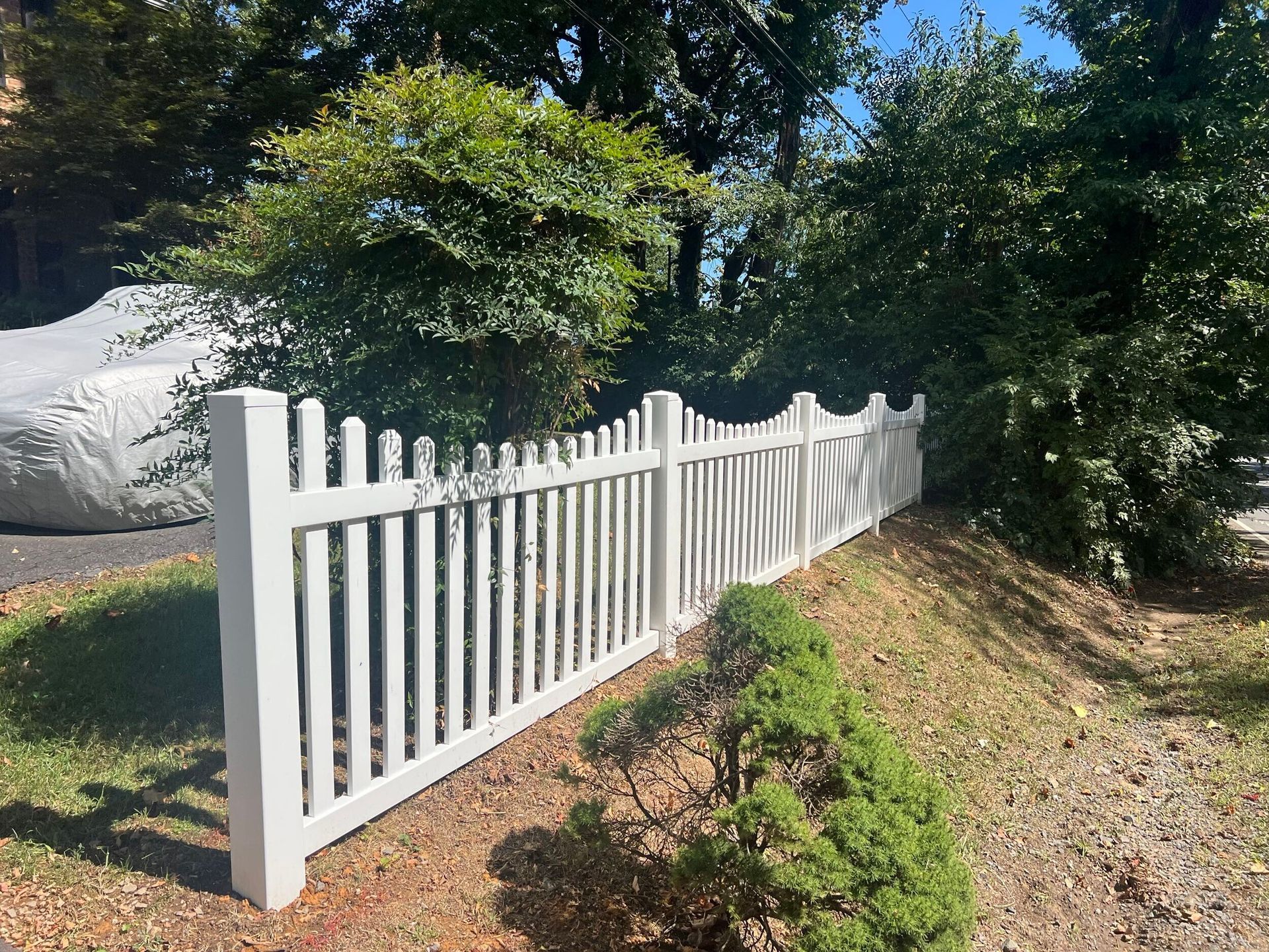 White picket fence along a grassy yard, with trees in the background.