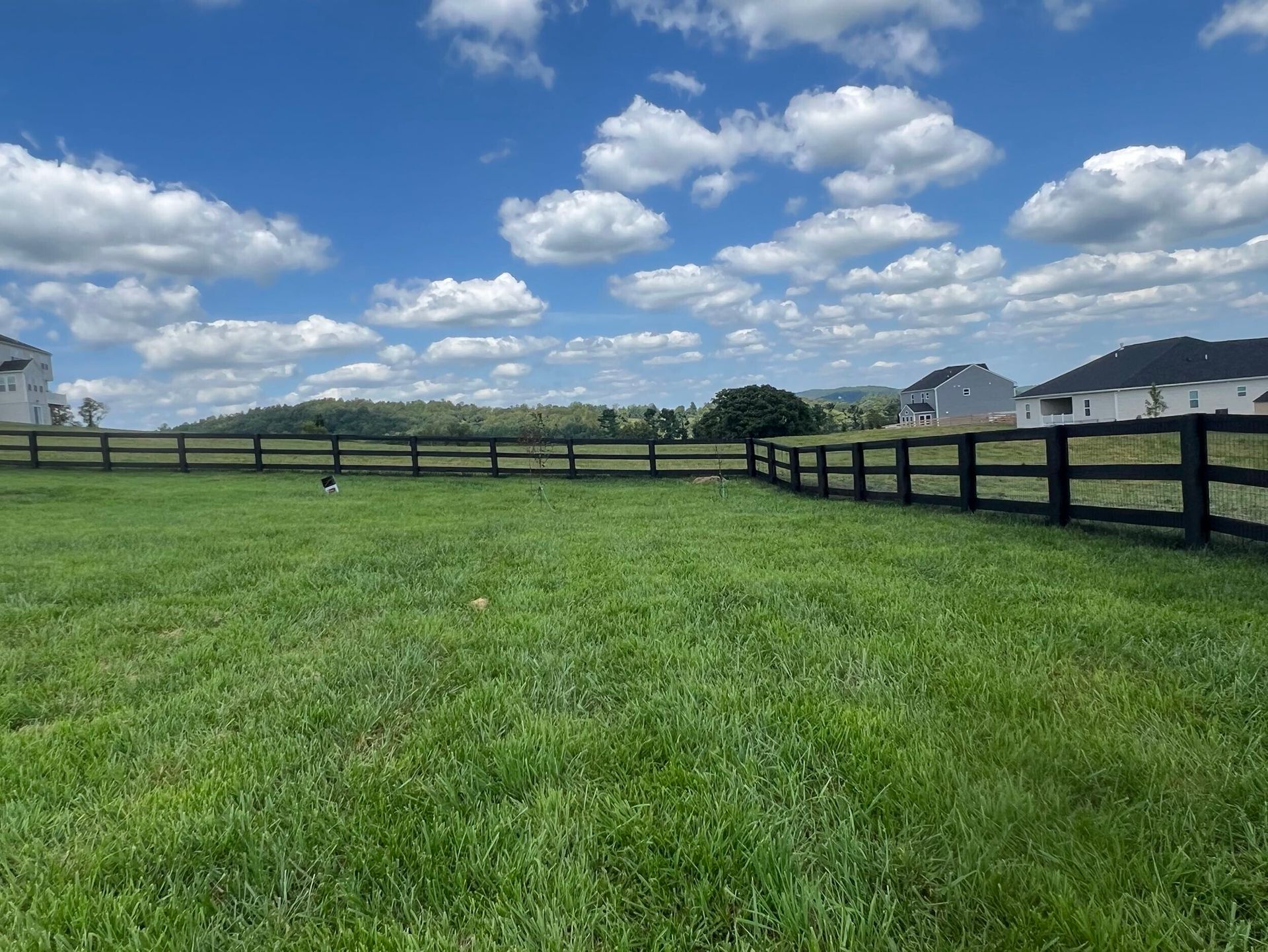 Green grassy field with black wooden fence, blue sky with clouds in background.