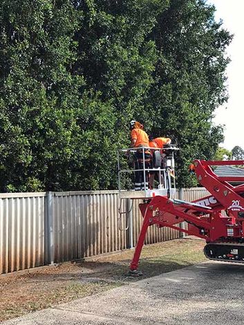 Tree Pruning - Tree Removal In Lismore, NSW Tree Pruning - Tree Removal In Lismore, NSW