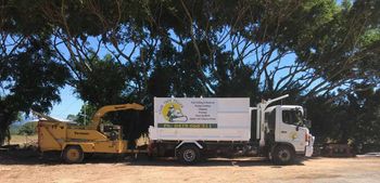 Safety Procedures - Tree Removal In Lismore, NSW Safety Procedures - Tree Removal In Lismore, NSW