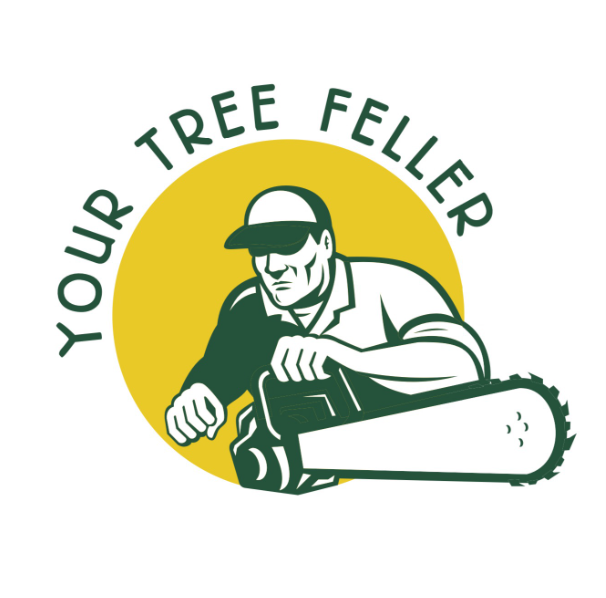 Tree Removal Ballina, Byron Bay & Lismore Tree Removal Ballina, Byron Bay & Lismore