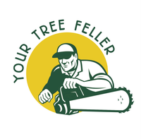 Tree Removal Ballina, Byron Bay & Lismore Tree Removal Ballina, Byron Bay & Lismore