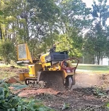 Stump Grinding - Tree Removal In Lismore, NSW