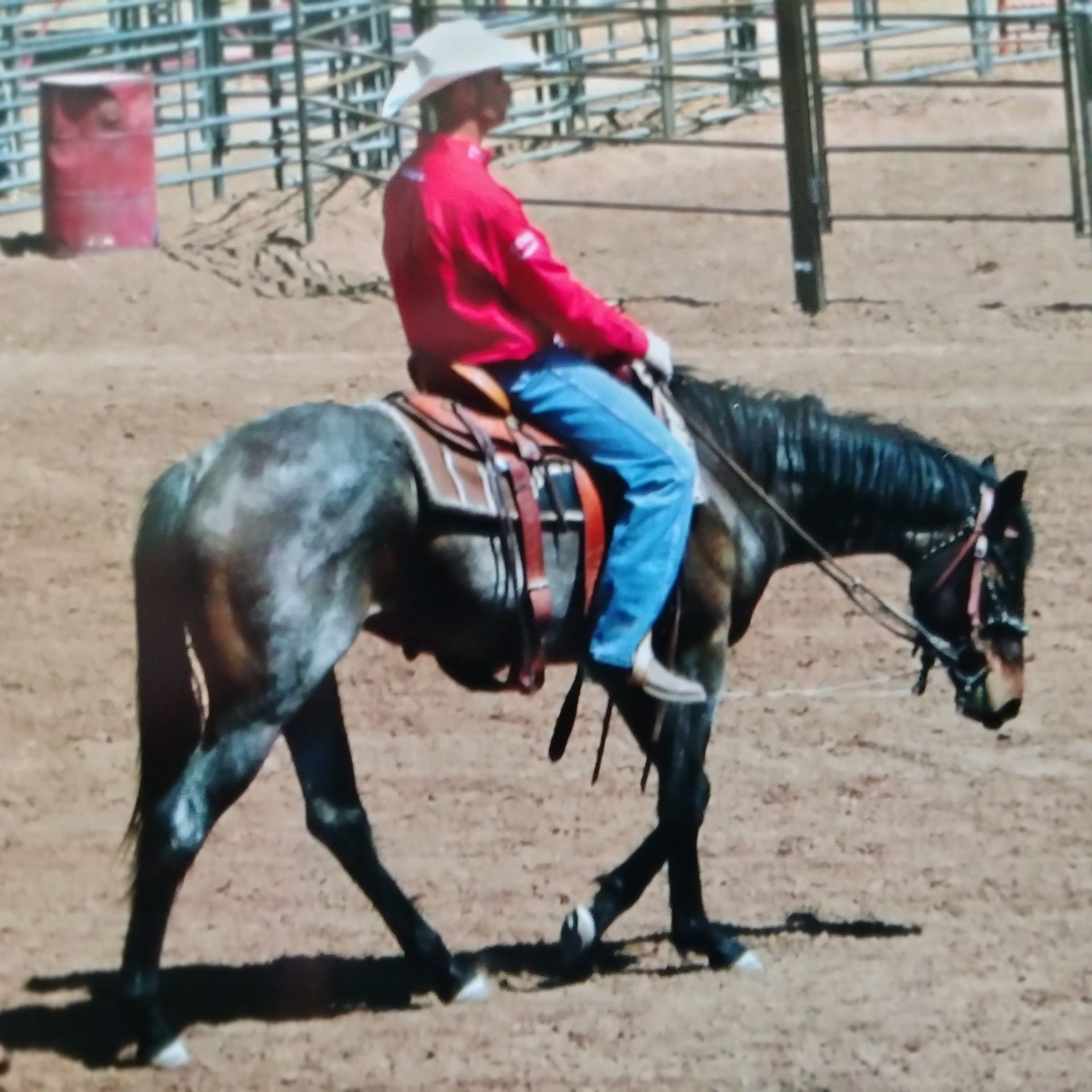 A person riding a gray horse in a rodeo arena. The rider wears a red shirt, jeans, and a cowboy hat.