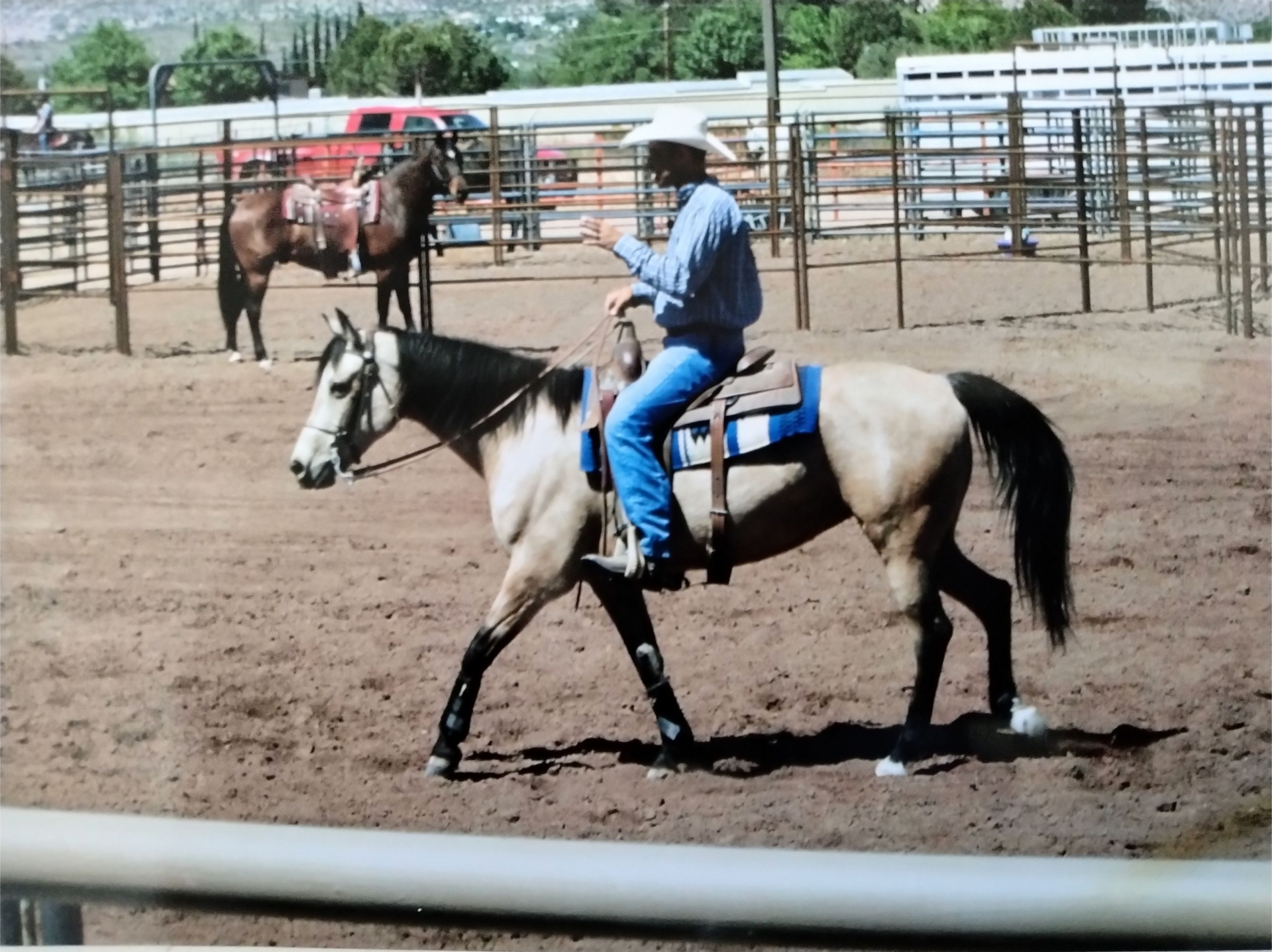 Cowboy riding a palomino horse in a dirt arena. Another horse stands in the background.