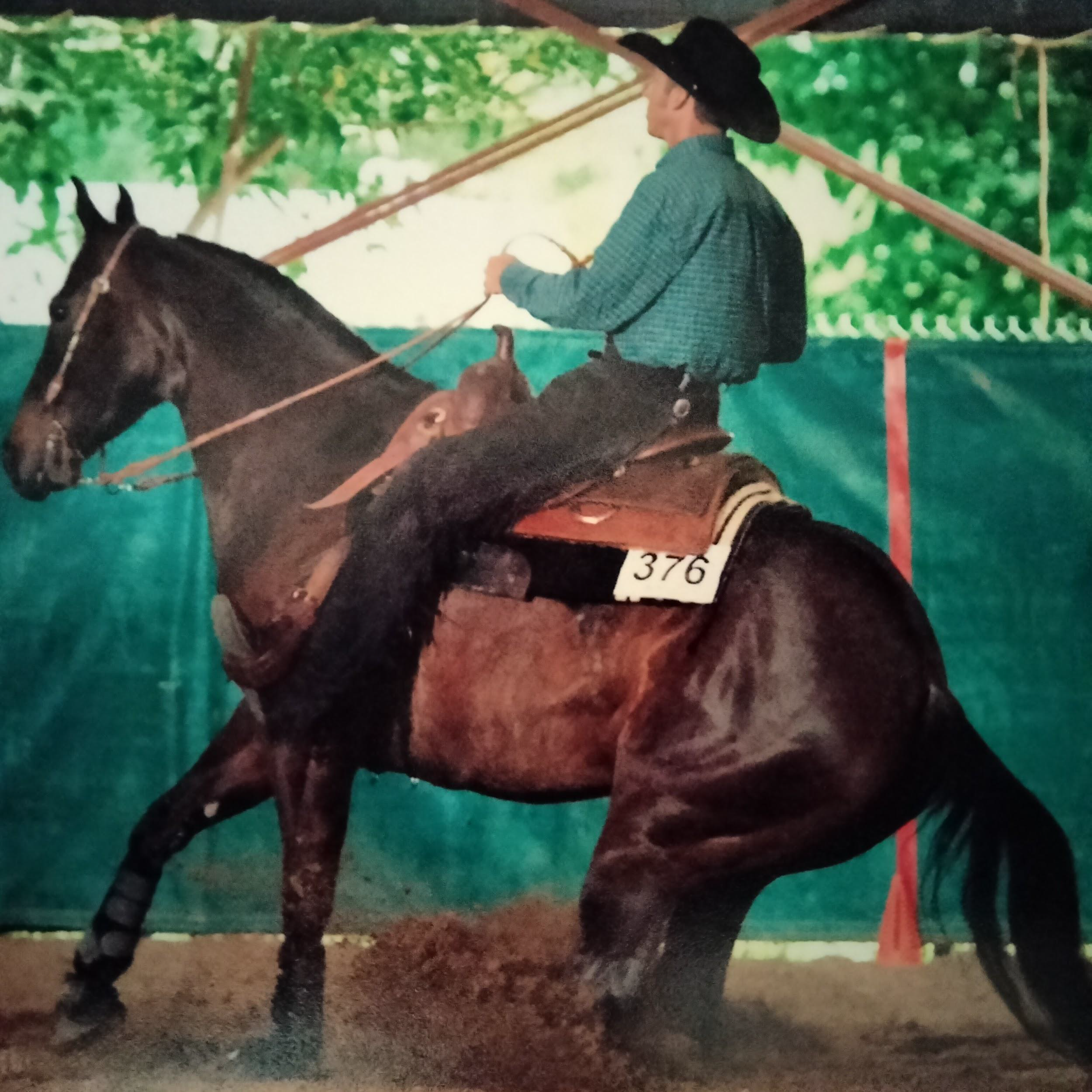 A dark brown horse and rider in a western saddle. Horse is sliding, kicking up dirt, and has a number 376 on saddle pad.