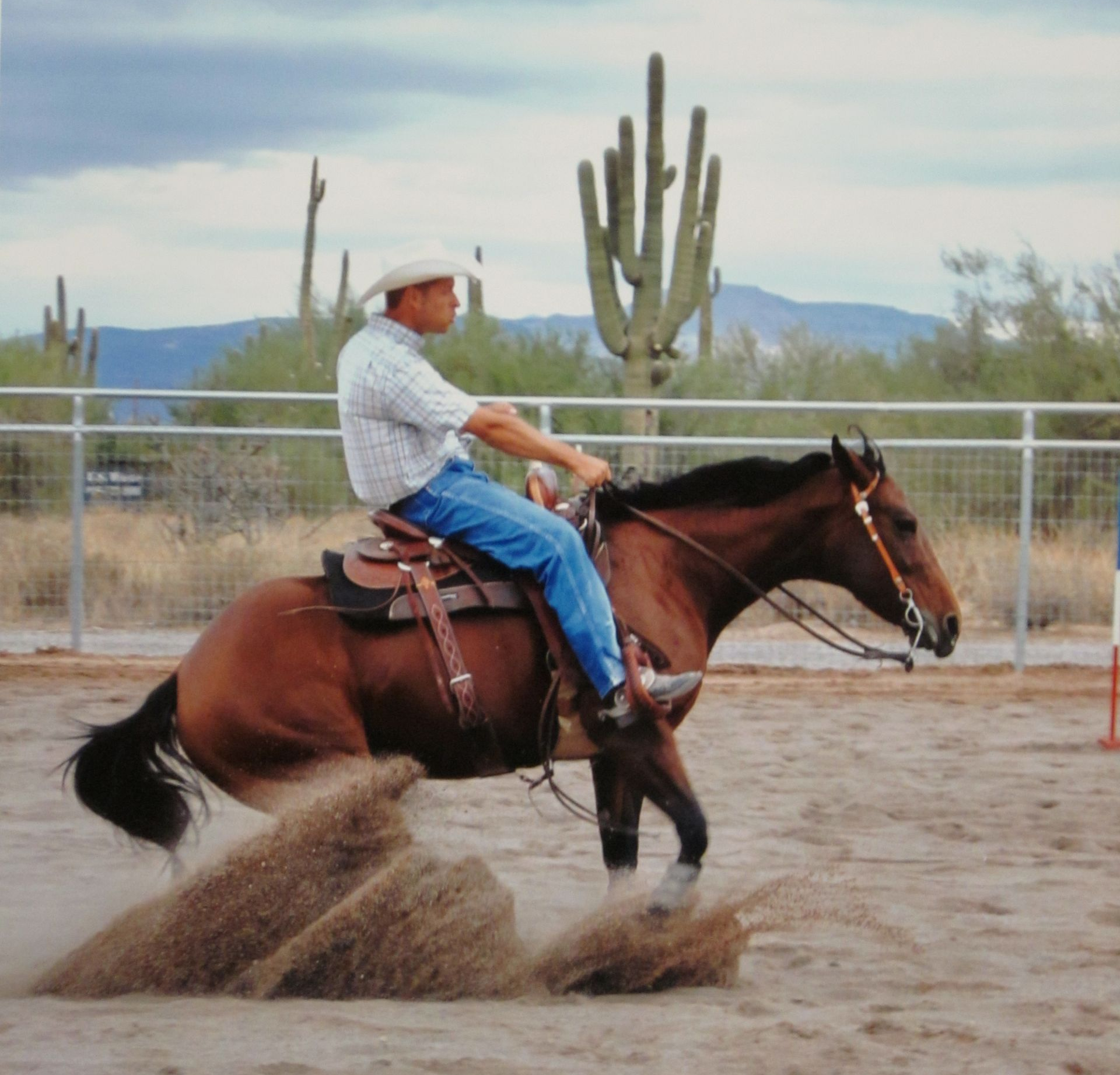 Man on brown horse sliding in sand, western saddle, cowboy hat, Arizona desert background.