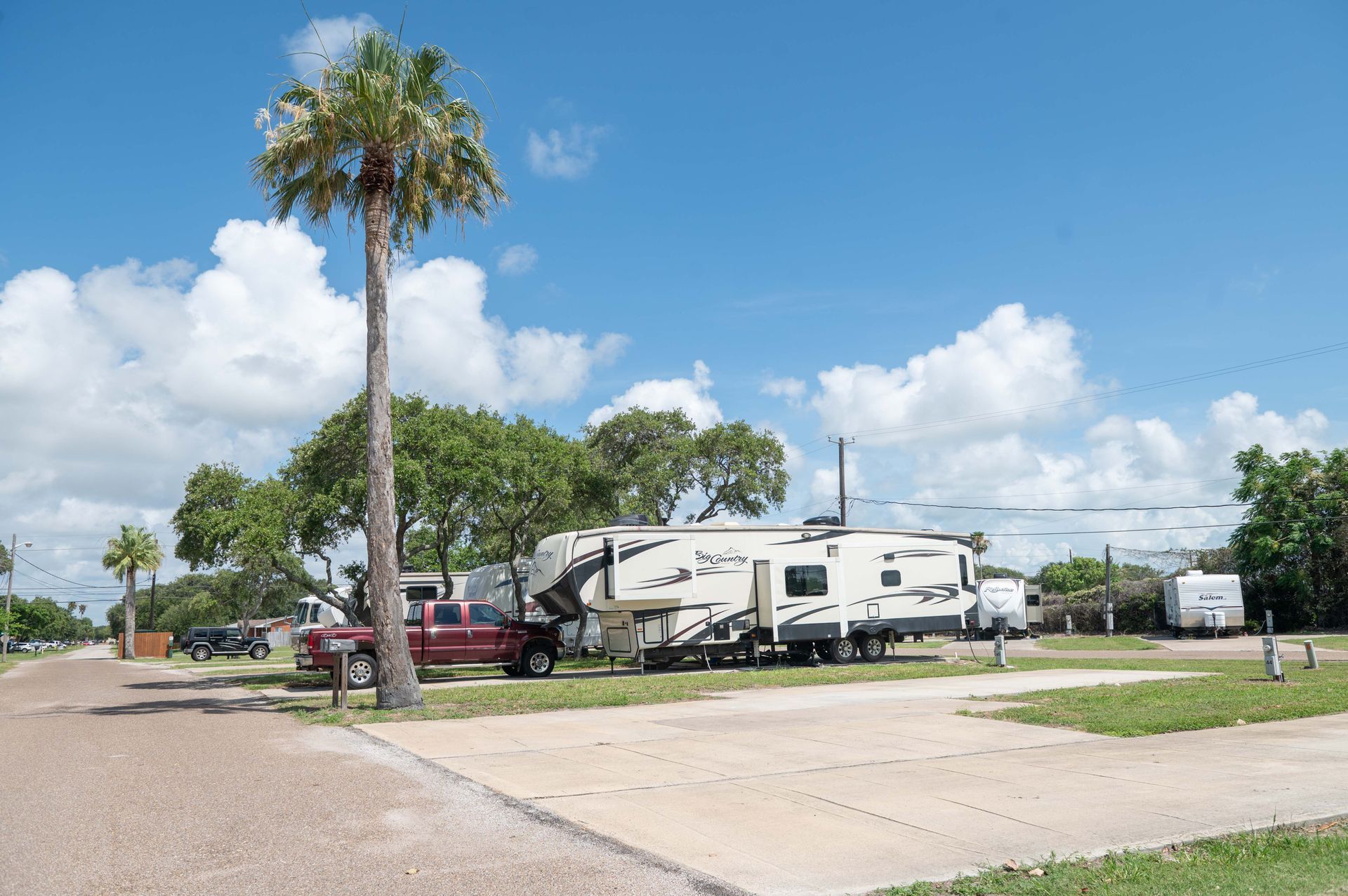 RVs parked on a sunny grassy lot beside a road, with palm trees and a blue sky.