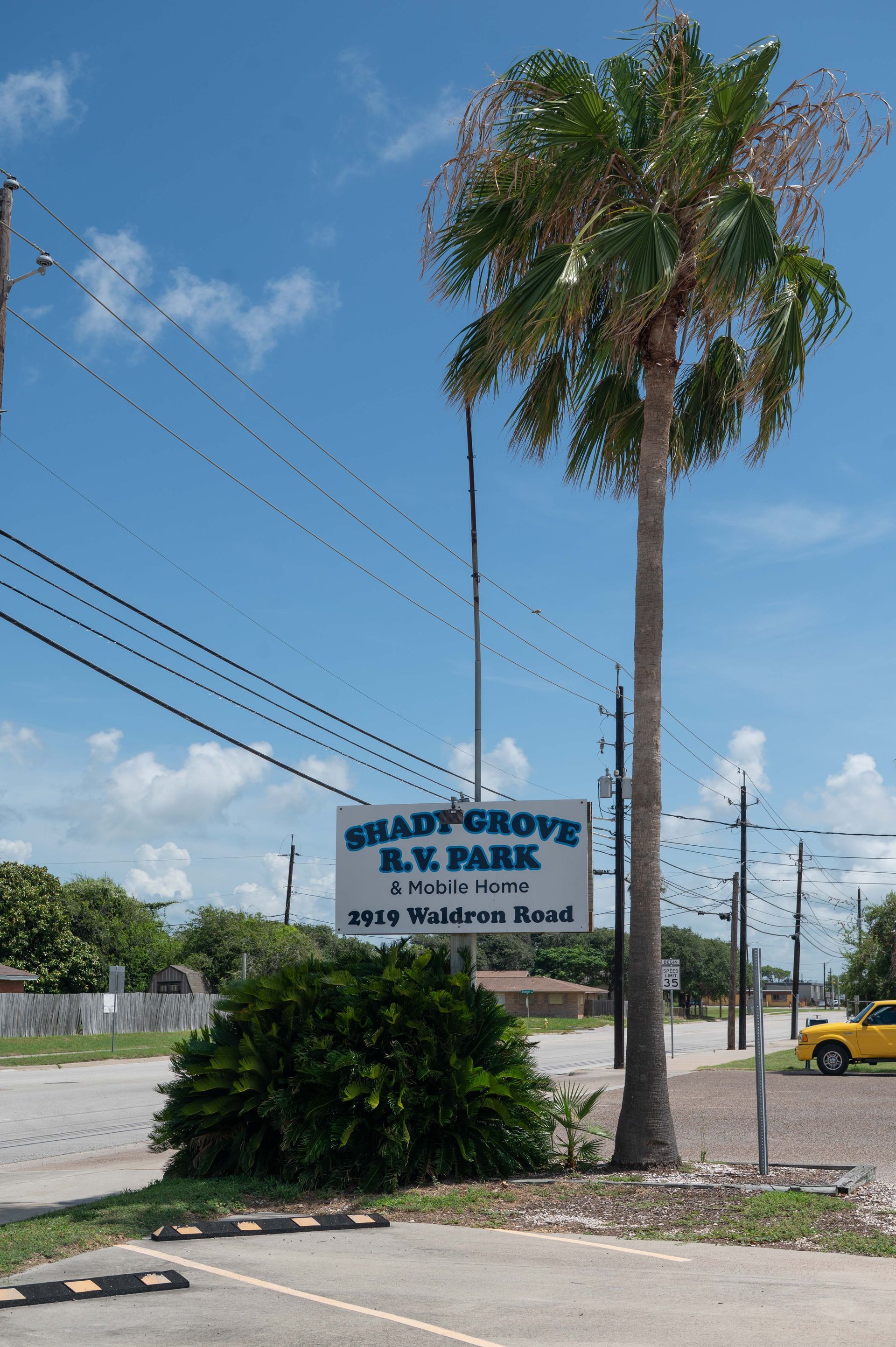 Sign for Steve Grody RV Park beside a tall palm tree under a blue sky