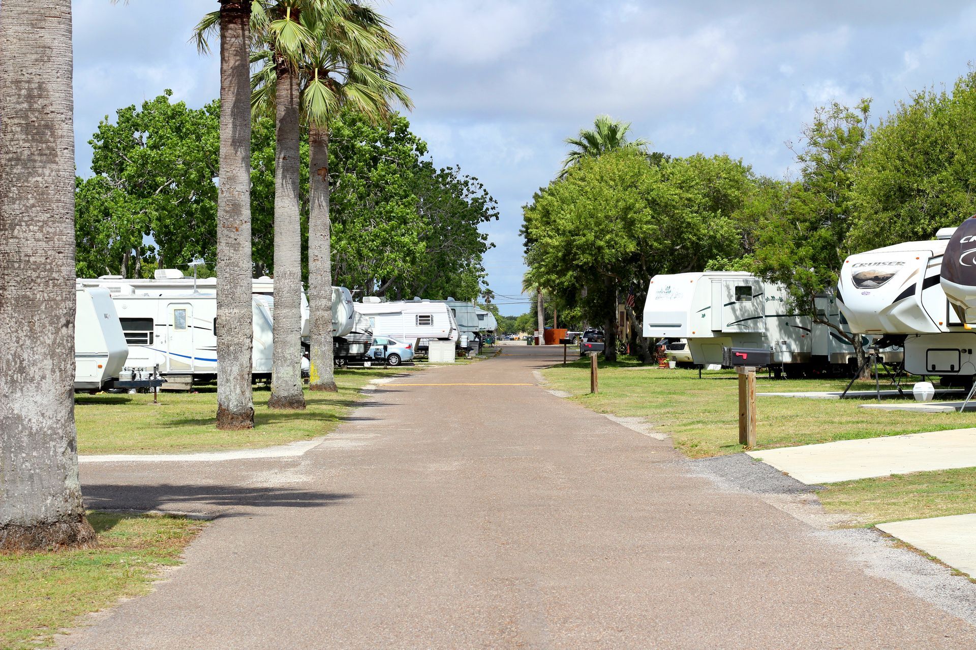 RV park with paved lane, palm trees, and parked white motorhomes under a blue sky