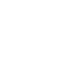 LOGO - PIRISI DR. GIANNI