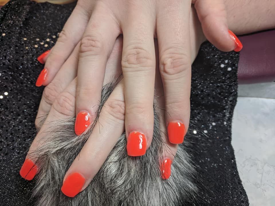 Hand with red nail polish resting on a gray-and-black animal paw/fur