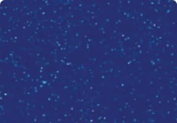 Dark Blue Background With Scattered White — Bombs Away Pools in Coolangatta, QLD