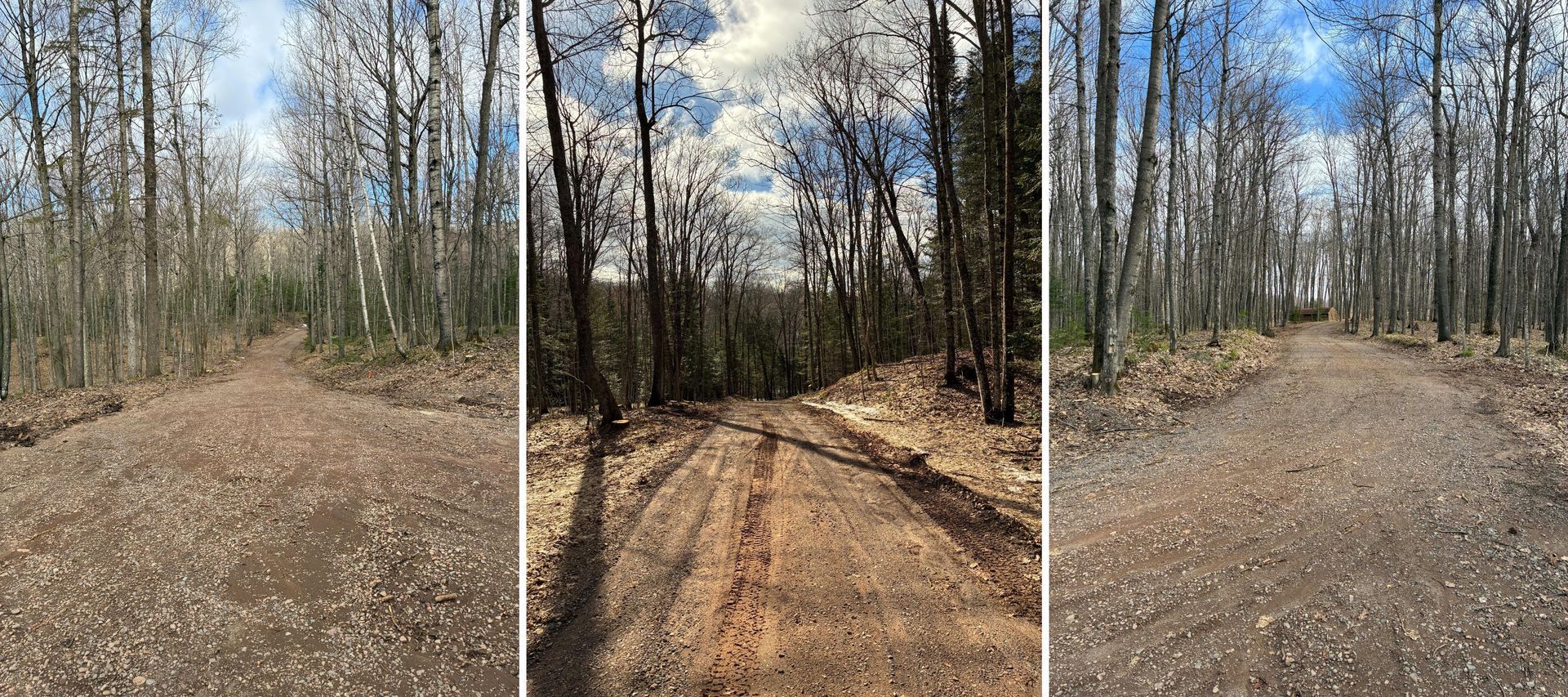 Three forest trail views: leaf-covered dirt paths under bare trees on a sunny day.