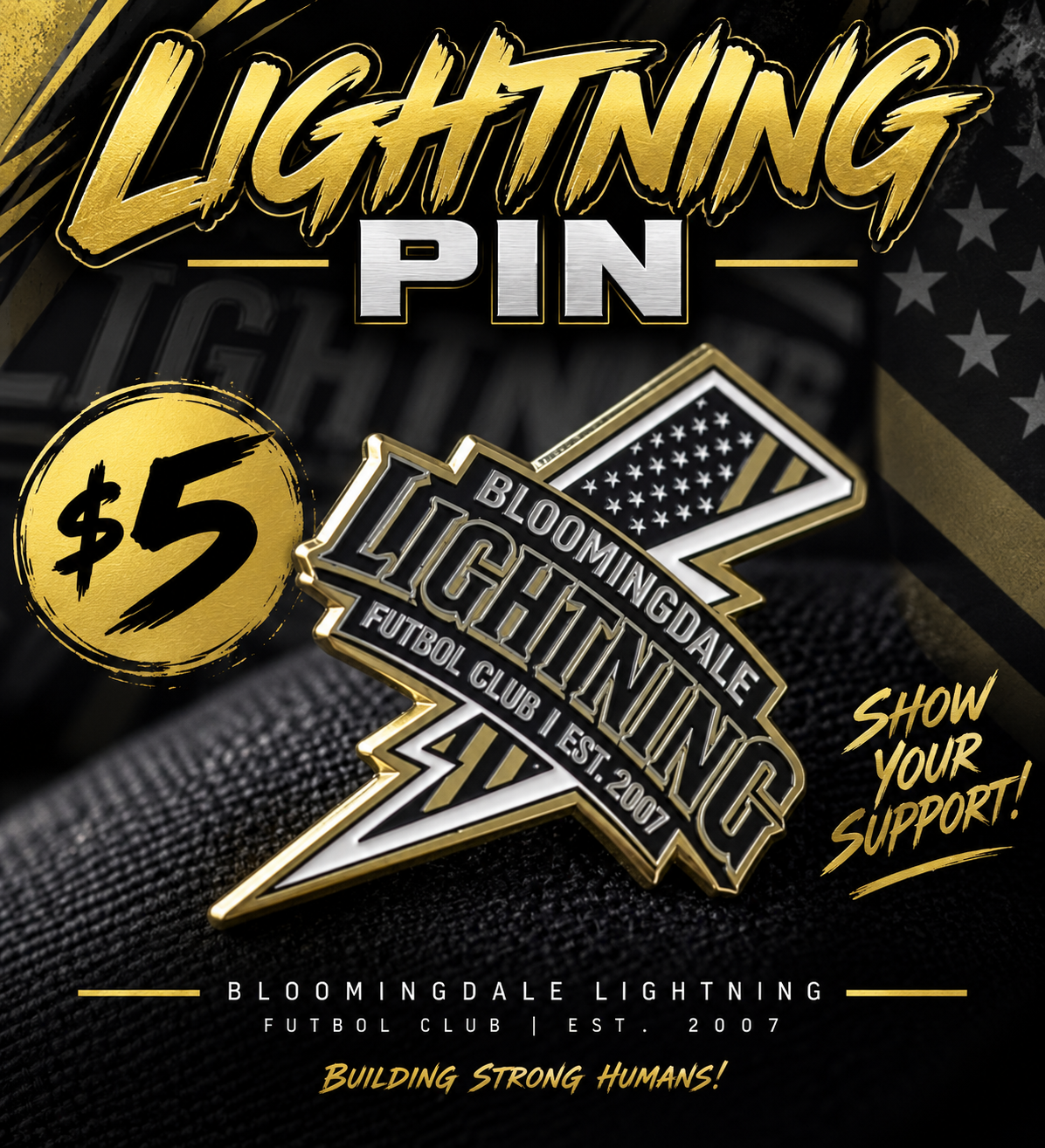 Lightning Pin (metal)