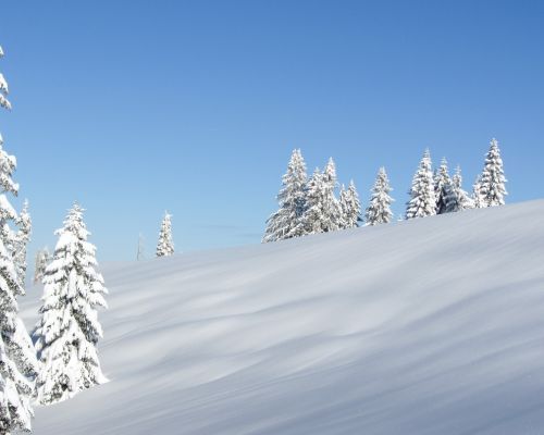 7 Nights Soll, Austria - 3* Hotel Modlinger (Family)