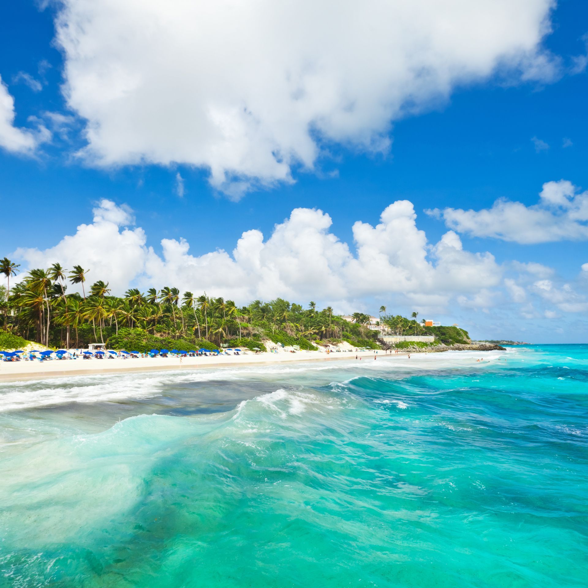 Caribbean beach on a clear day