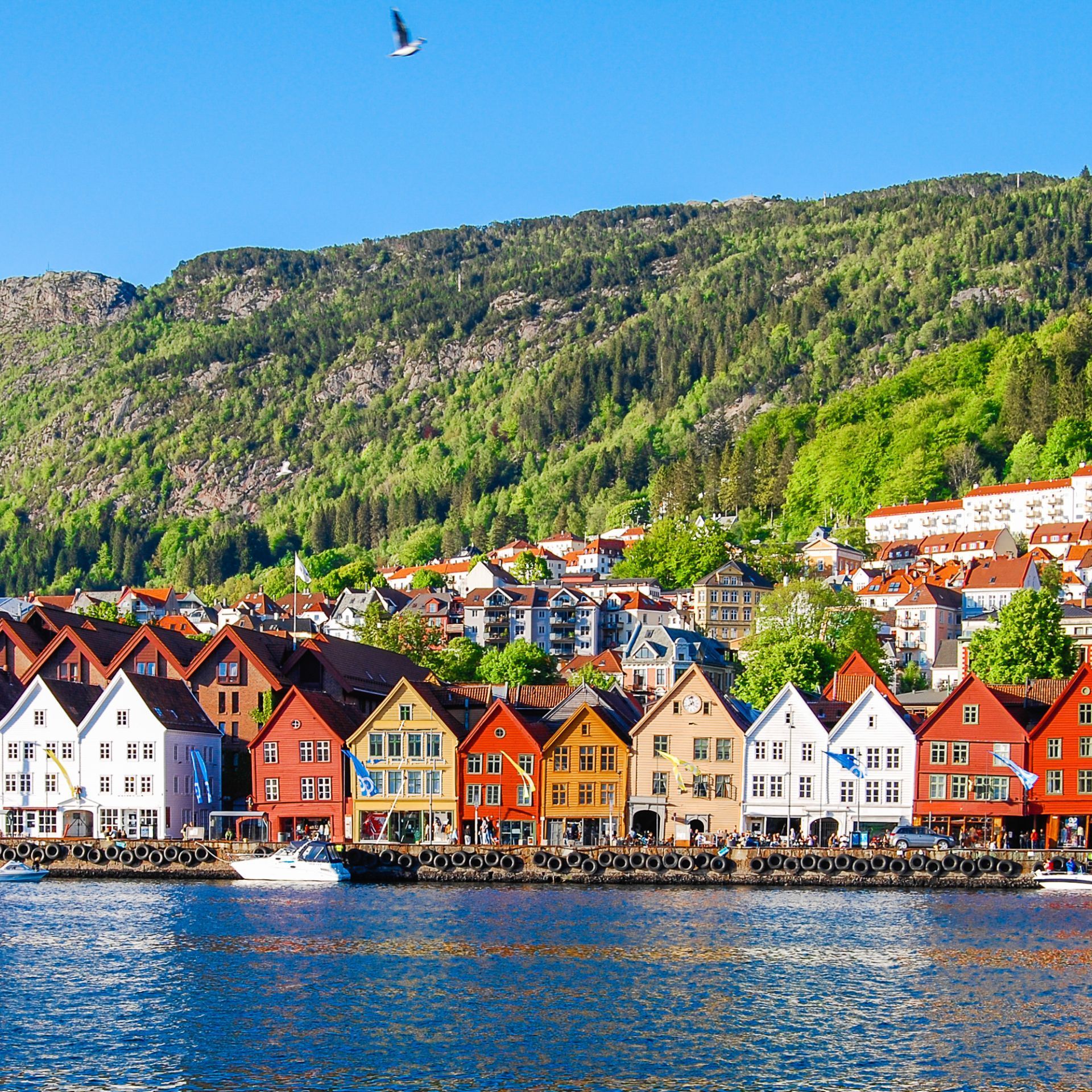 bergen town view with a mountain scene in the background