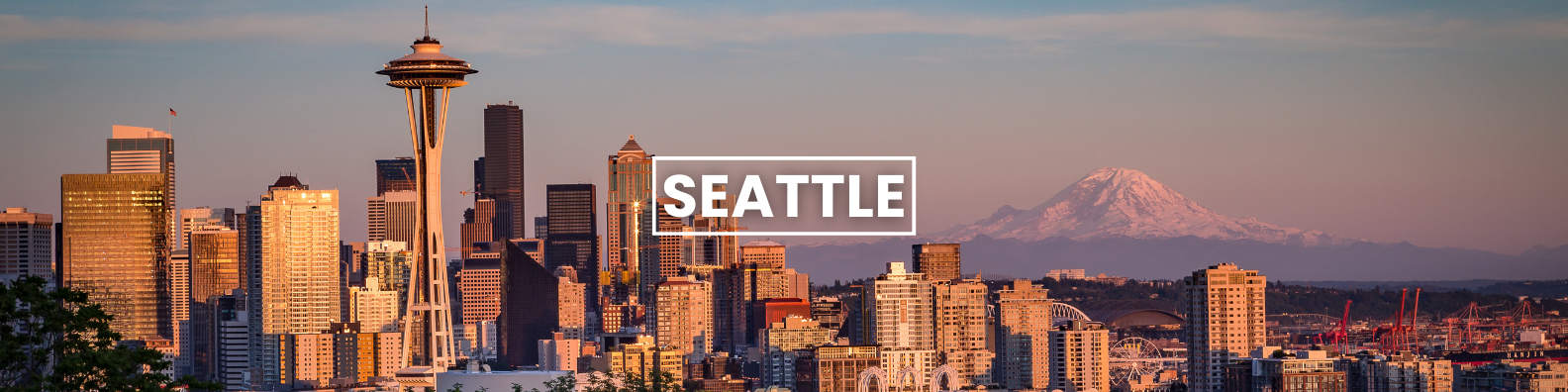 a blurry picture of the skyline of seattle with a mountain in the background .