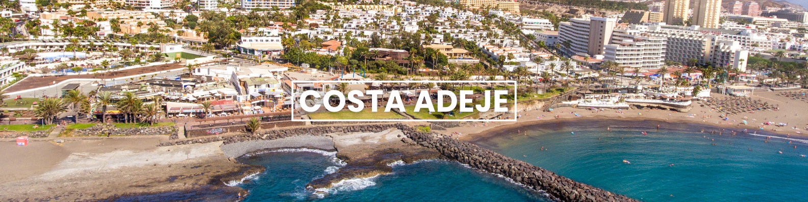 an aerial view of a city and a body of water . Barter's Travelnet 