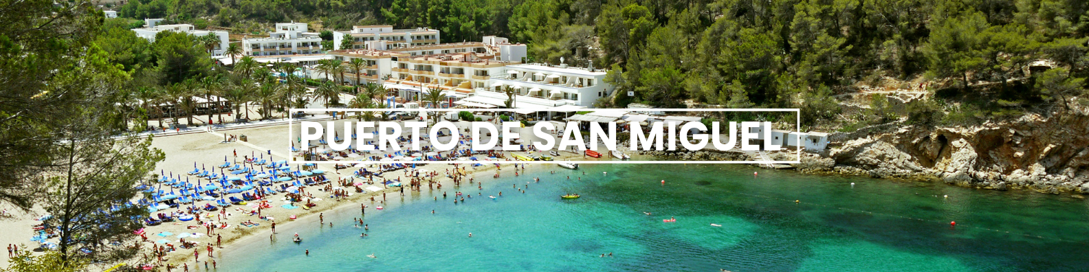 an aerial view of a beach in puerto de san miguel Barter's Travelnet 