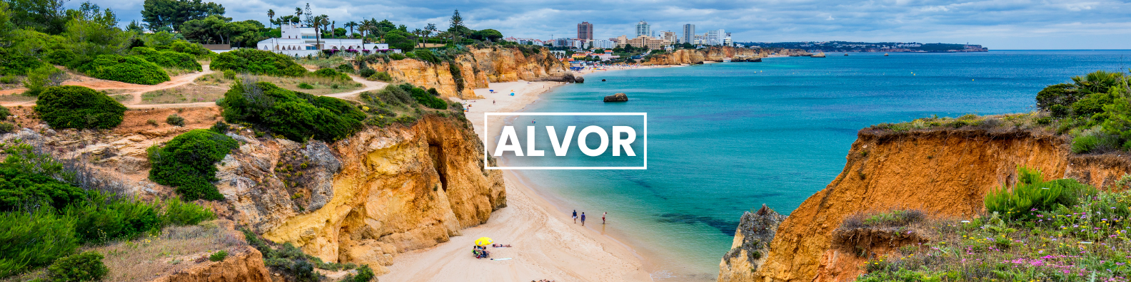 a beach surrounded by cliffs and trees next to the ocean .Barter'sTravelnet