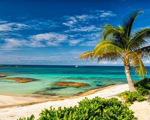 12 Nights Caribbean Cruise Las Vegas & Miami- Celebrity Beyond Cruise