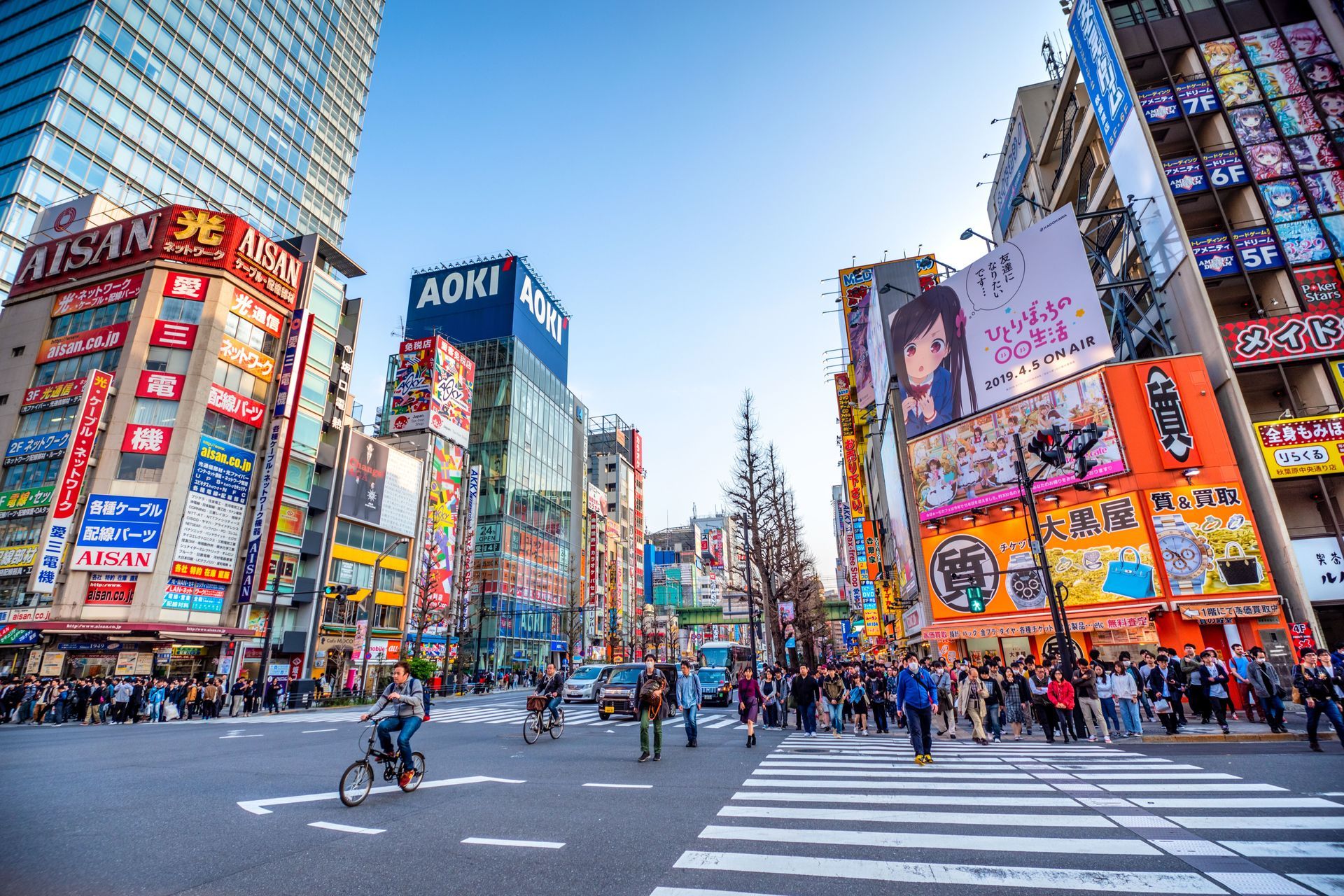 Crowded Streets of Akihabara, Tokyo, Japan