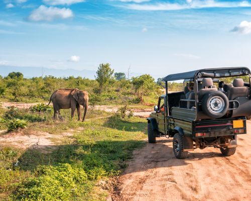 10 Nights Kenya Safari & Beach - Nairobi to Mombasa