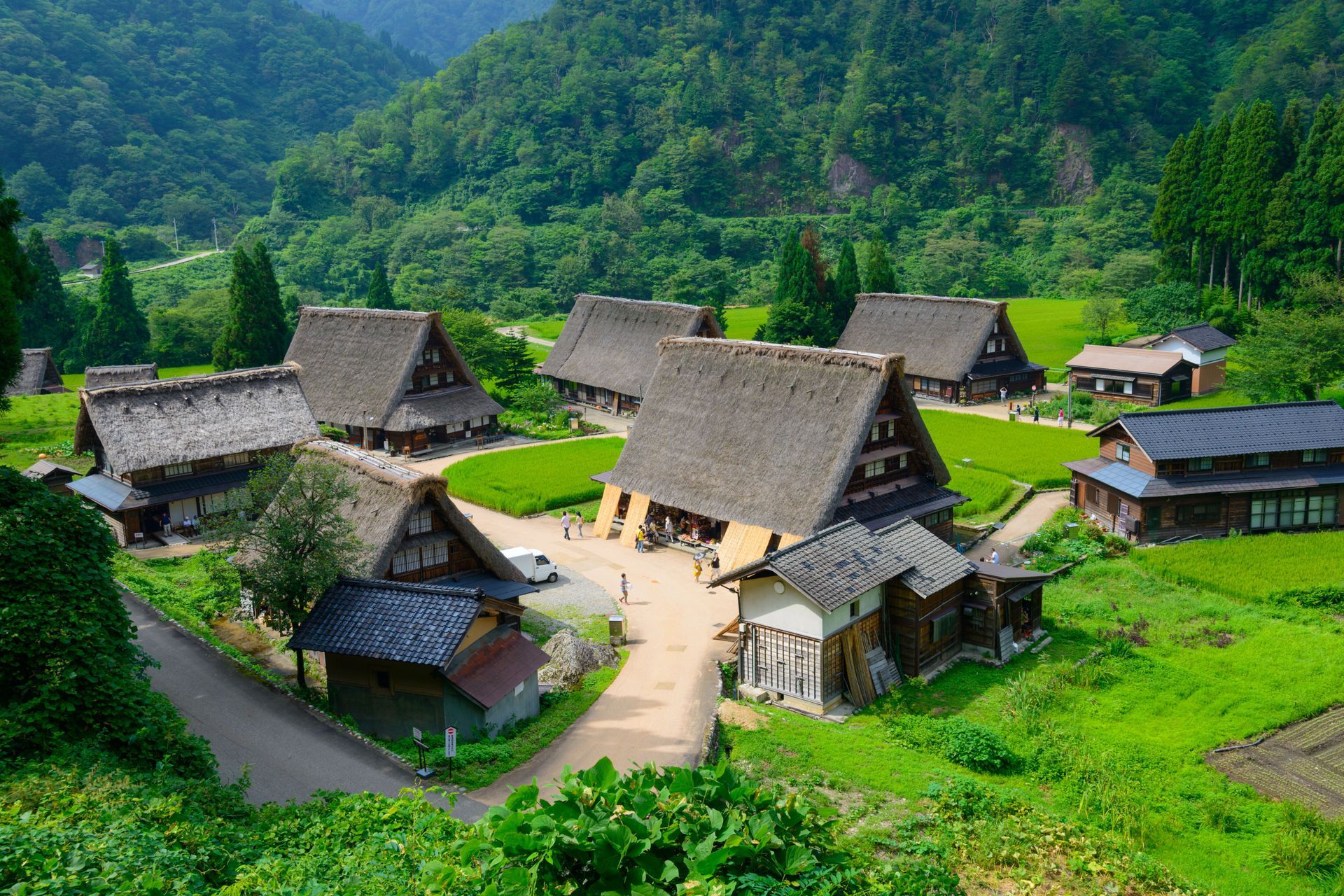 Gassho-zukuri village with thatched roofs in the middle of a lush green forest.