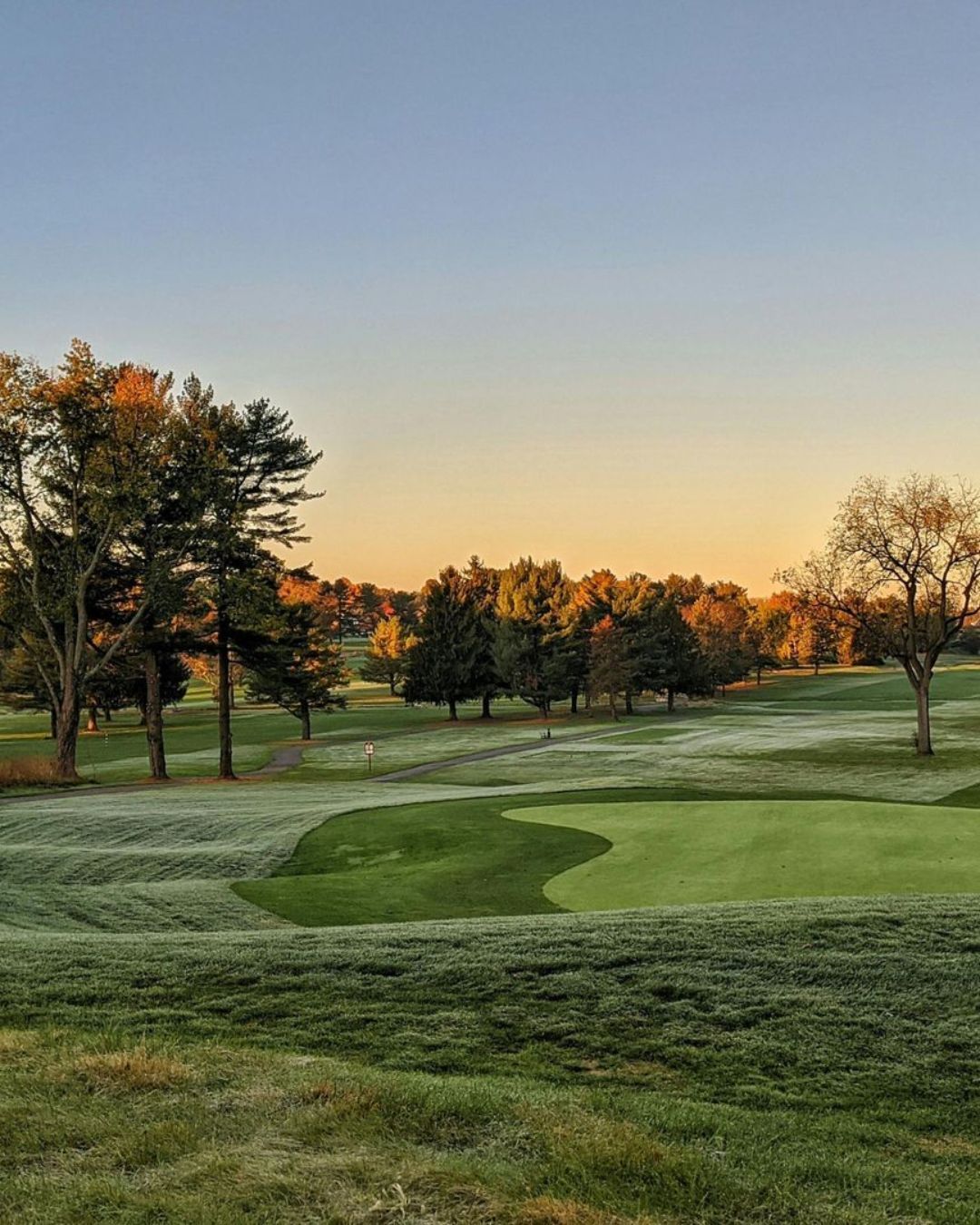 Golf course fairway at sunset with trees and green rolling hills.