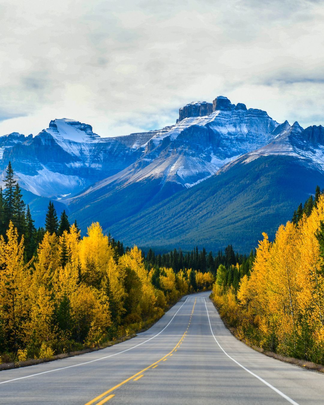 Winding road through golden autumn trees toward snowcapped mountains under a cloudy sky