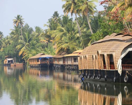 13 Days Best of India: Land of the Taj & Tigers