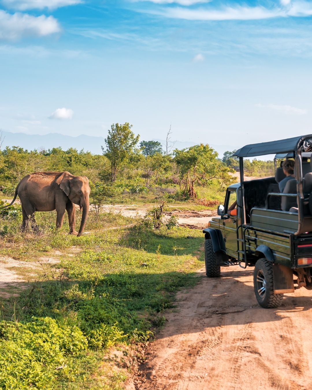 Elephant beside safari vehicle on a dirt road in a sunny savanna.