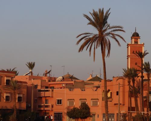7 Nights Marrakech, Morocco - 5* Marrakech La Palmeraie