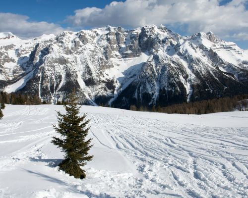 7 Nights La Plagne, France Ski - 3* Les Chalets Edelweiss