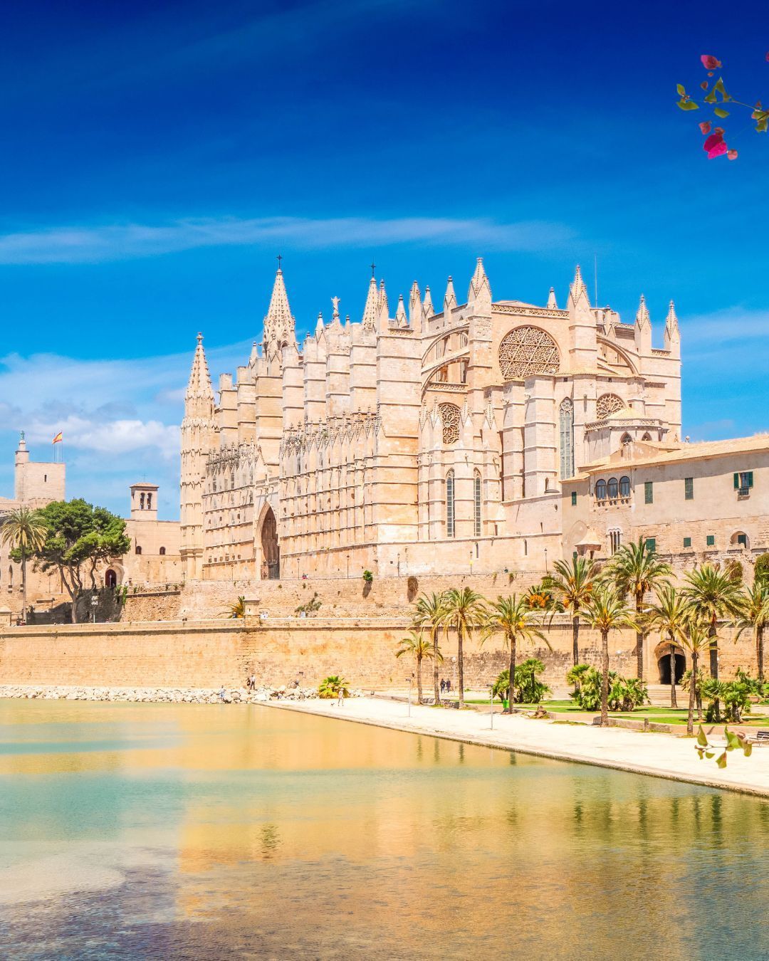 Bright stone cathedral beside a reflecting pool under a vivid blue sky