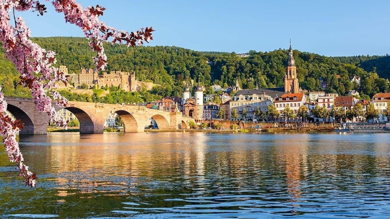 Stone bridge over a river beside a town, with pink blossoms framing the scene and reflections on the water, Avalon Waterways