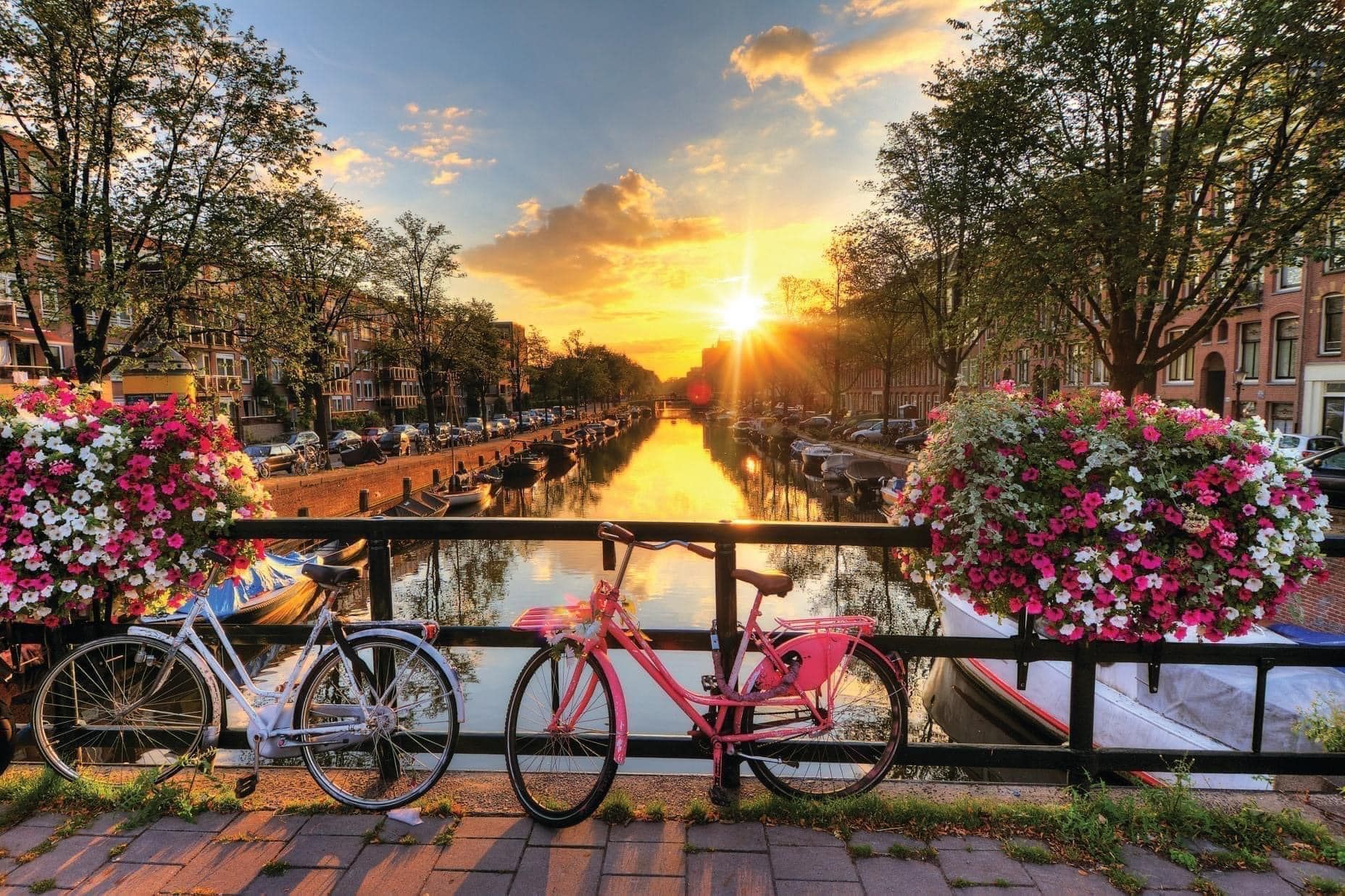 Canal at sunset with bicycles on a bridge, lined with pink flowers and trees