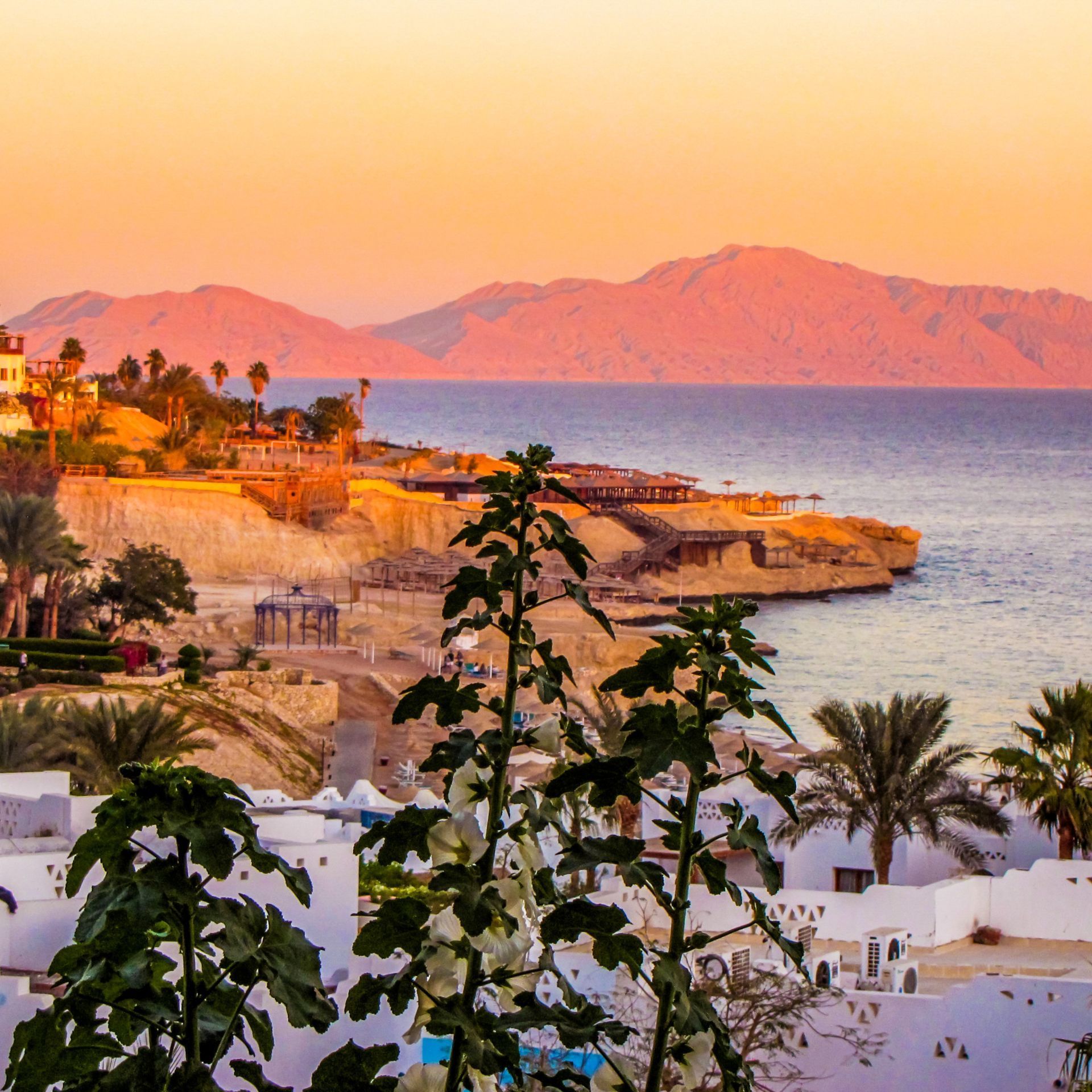 sharm el sheikeh in egypt at dusk with the ocean on one side and the town of the other