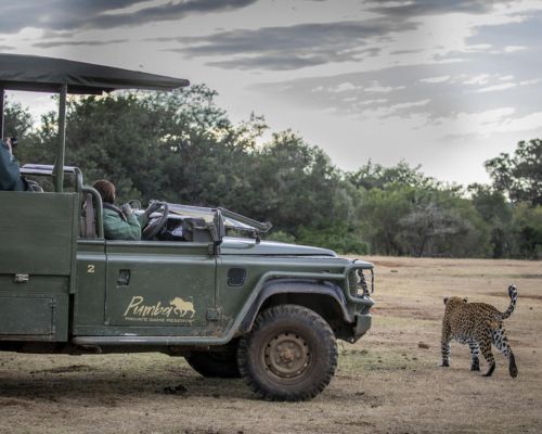 16 Day South Africa Tour