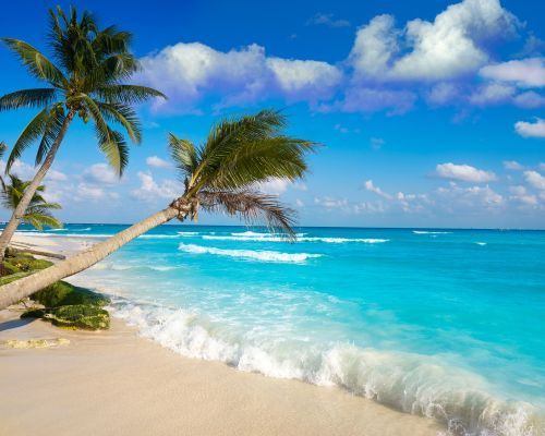 7 Nights Playacar, Mexico- 4* RIU Tequila