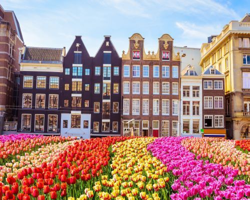 7 Nights City Escapes: Dutch & Belgian Waterways - AmaVenita