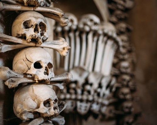 skull and bones on top of each other