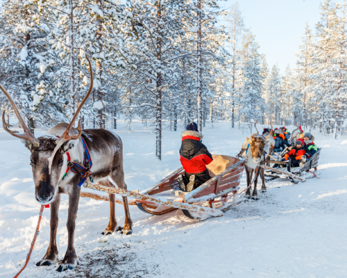 Lapland - Holly Jolly Ruka 