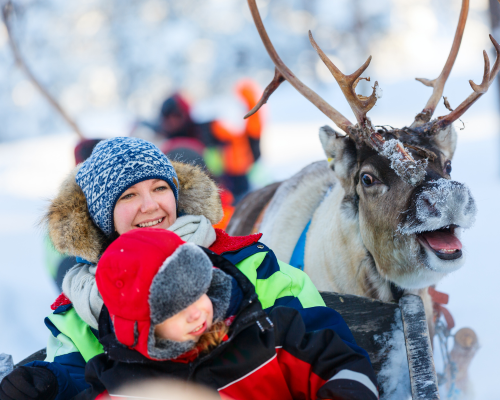 Lapland 2025 - Magical Interlude | Pyha Igloo