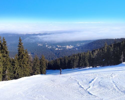 7 Nights Borovets, Bulgaria Ski - 4* Hotel Lion Borovets